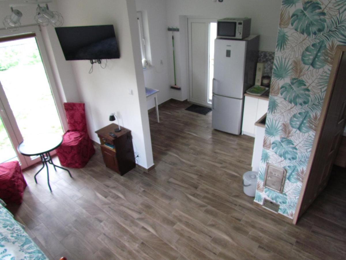 Przy Puszczy Bialowieskiej Apartment Dubiny