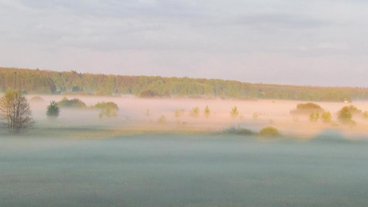Przy Puszczy Bialowieskiej